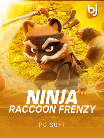 Ninja Raccoon Frenzy thumbnail